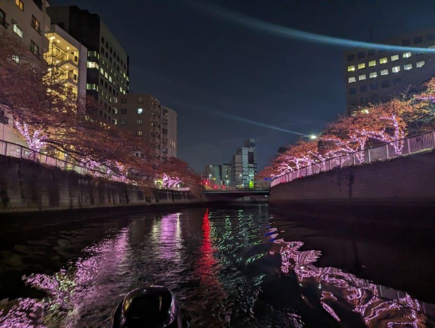 Relaxed Tokyo Bay Cruise Enjoy Your Own Food & Drinks at Sea - Potential Changes to Destinations