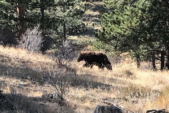 Rocky Mountain National Park in Summer Tour From Denver - Tour Logistics