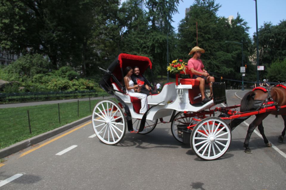 Romantic/Proposal Central Park Carriage Tour Up to 4 Adults - Meeting Point and Location