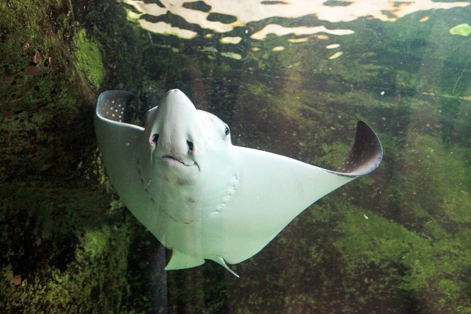 SEA LIFE Sydney Aquarium - Important Information for Visitors