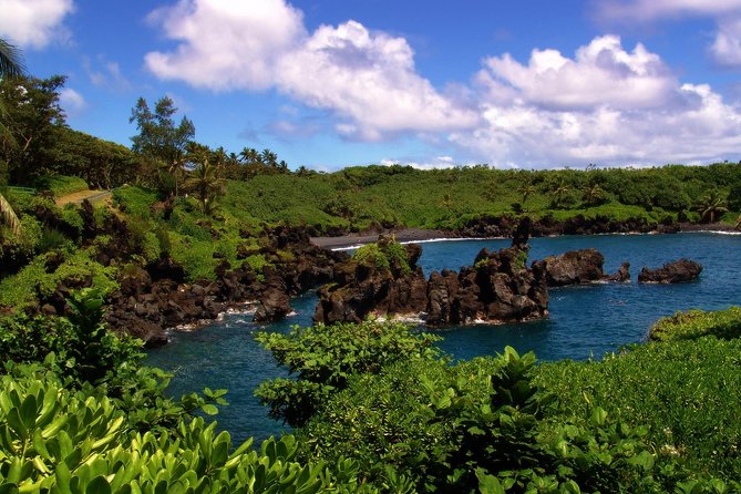 Small-Group Road to Hana Luxury Tour - Testimonials