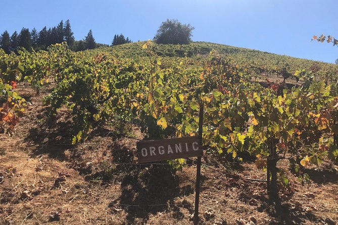 Small-Group Wine Country Tour From San Francisco With Tastings - Tour Highlights
