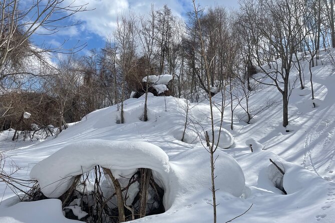 Snowshoeing Adventures in a Winter Wonderland - Sapporo - Snowshoe and Equipment Provided