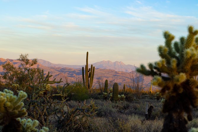 Sonoran Desert Jeep Tour at Sunset - Meeting and Pickup Information