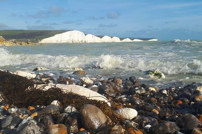 South Downs and Seven Sisters Full Day Experience From Brighton - Recap
