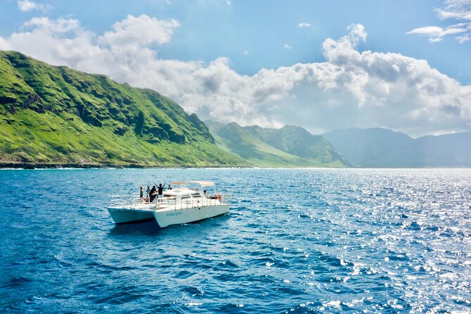 Swim With Dolphins in the West Coast Line of Oahu - Key Points