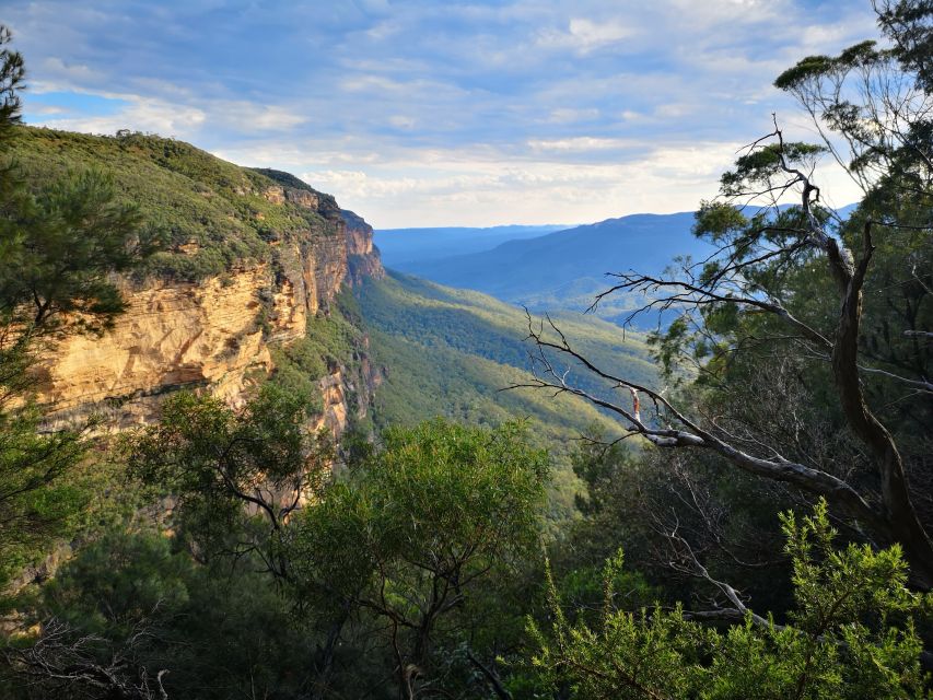 Sydney: Blue Mountain Sunset, Bushwalk & Wilderness Tour - Customer Reviews