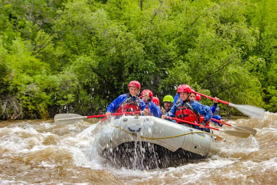 Telluride Whitewater Rafting - Full Day With Lunch - Age and Health Restrictions