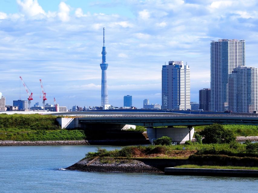 Tokyo: 1-Day Private Customizable Tour by Car - Inclusions and Logistics