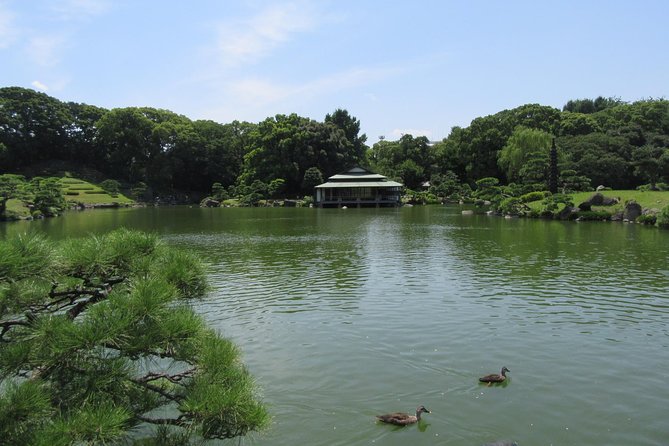 Tokyo by Bike: Skytree, Kiyosumi Garden and Sumo Stadium - Meeting and End Points