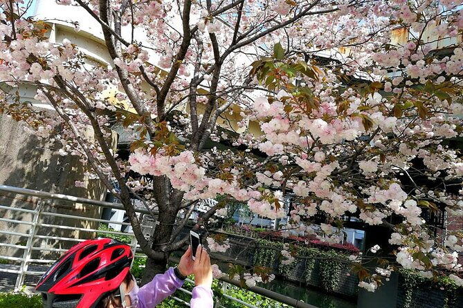 Tokyo Cherry Blossoms Blooming Spots E-Bike 3 Hour Tour - Experience Highlights