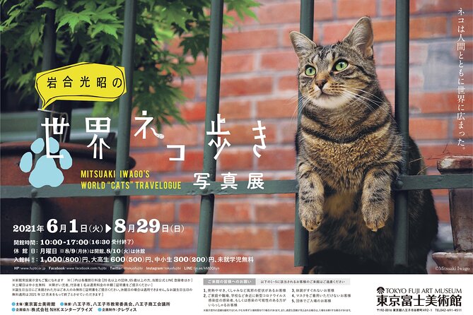 Tokyo Fuji Art Museum Admission Ticket + Special Exhibition (When Being Held) - Accessibility and Transportation