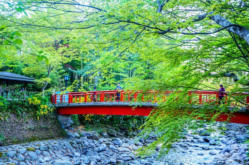 Tokyo: Izu Hydrangea Ocean, Jogasaki Beach & Hot Spring Day - Traditional Japanese Hot Spring