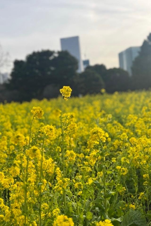 Tokyo : Japanese Garden Guided Walking Tour in Hama Rikyu - Meeting Point and End Location