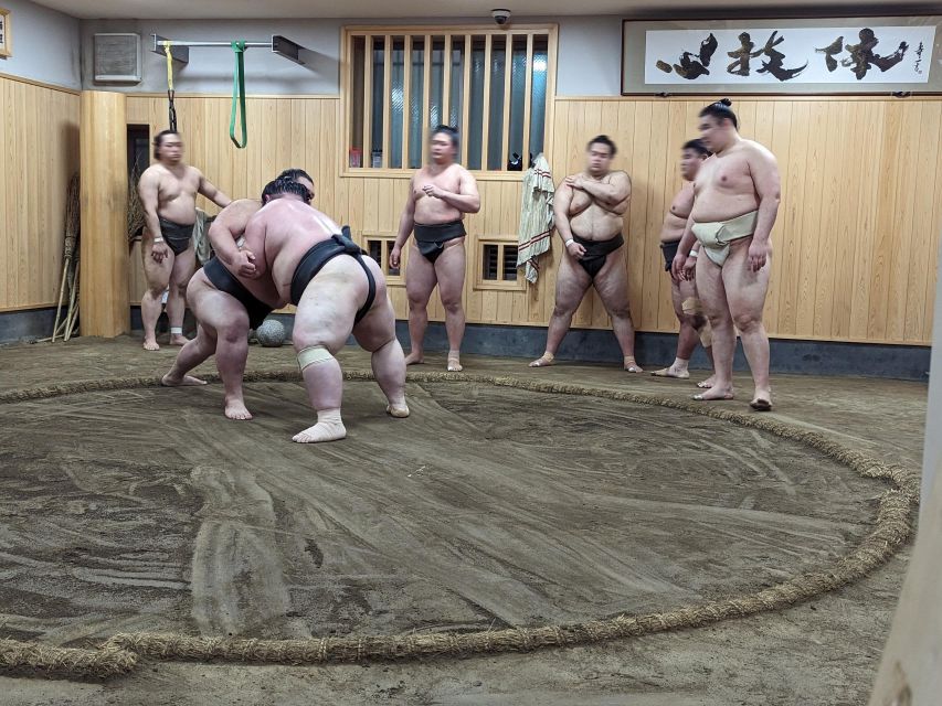 Tokyo: Morning Sumo Practice Viewing - Important Information