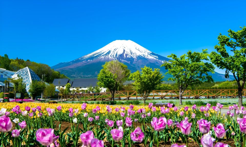 Tokyo: Mt. Fuji Festival, Ropeway, & Fruit Picking Day Trip - Scenic Viewpoints