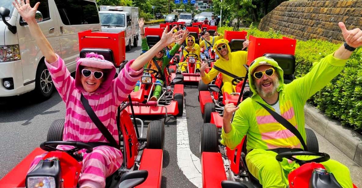 Tokyo: Original Street Kart Experience From Tokyo Bay - Restrictions and Requirements