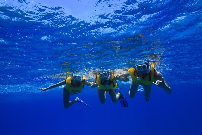 Turtle Canyons Snorkel Excursion From Waikiki, Hawaii - Recap
