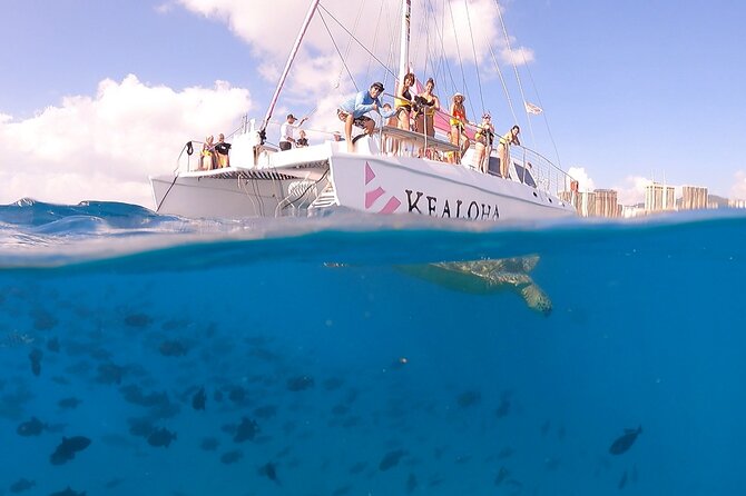 Turtle Snorkeling Adventure in Waikiki (Boat Tour) - Reviews