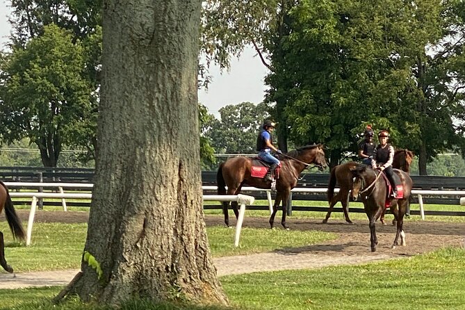 Unique Horse Farm Tours With Insider Access to Private Farms - Accessibility and Amenities