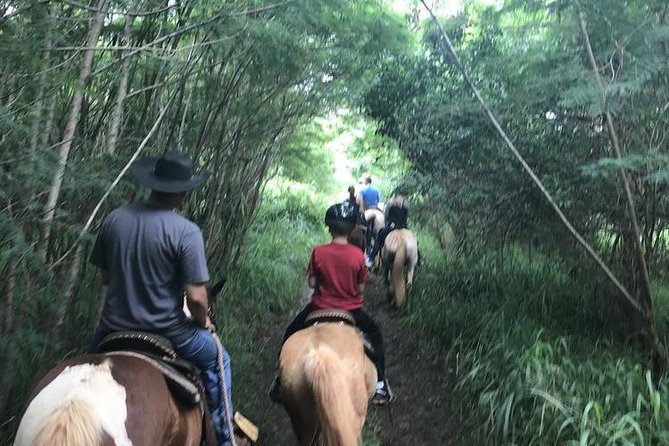 West Maui Mountain Waterfall and Ocean Tour via Horseback - Important Additional Details