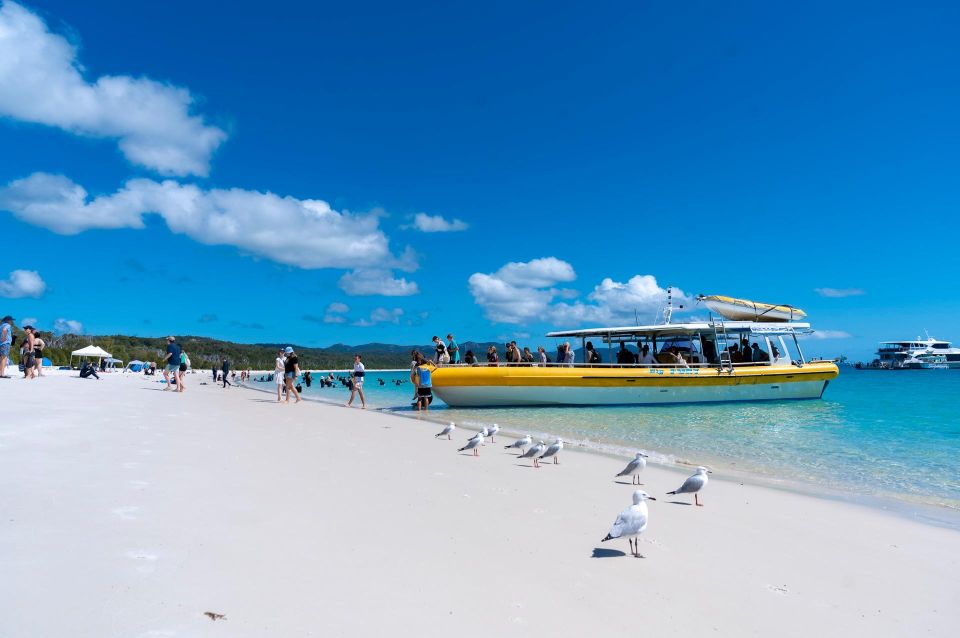 Whitsunday: Whitsunday Islands Tour With Snorkeling & Lunch - Requirements & Restrictions