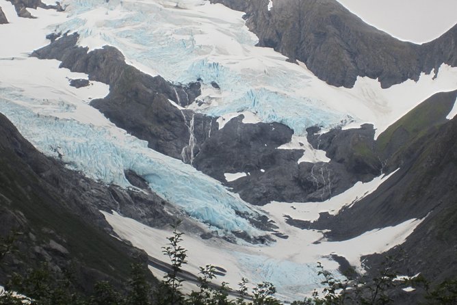 Wildlife and Glaciers With a Walk in the Rainforest - Glacial Views