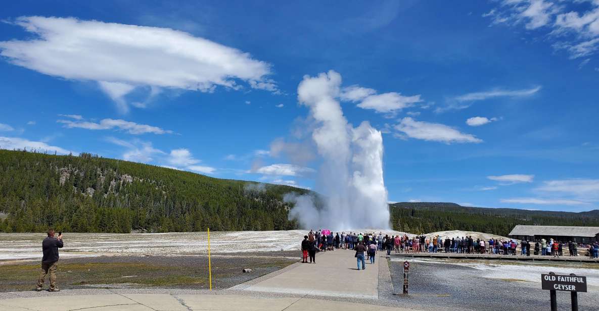 Yellowstone: Bespoke Photo Tour - Summer - Important Information