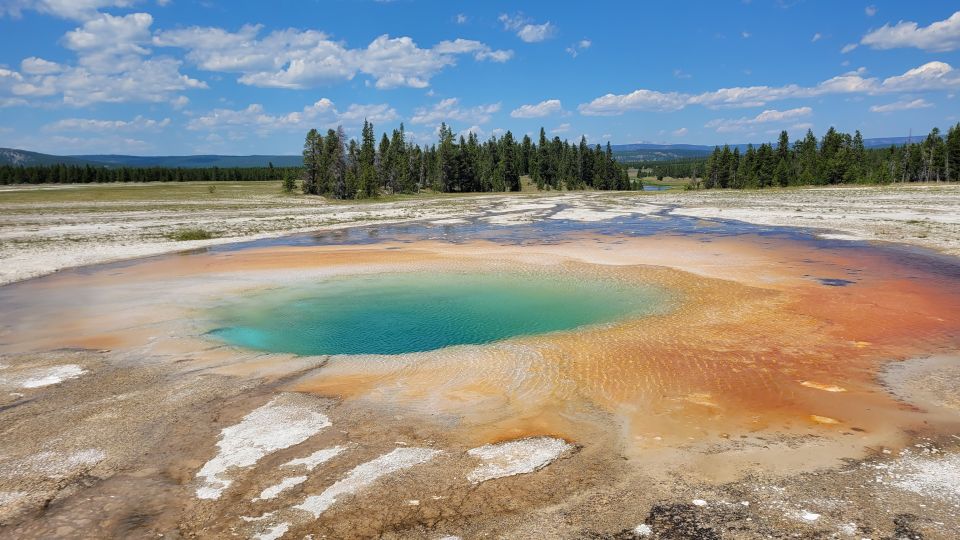 Yellowstone National Park Private Day Tour - Itinerary and Stops
