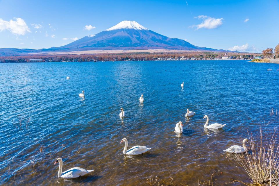 1-Day Trip: Mt Fuji + Kawaguchi Lake Area - Tour Duration and Overtime