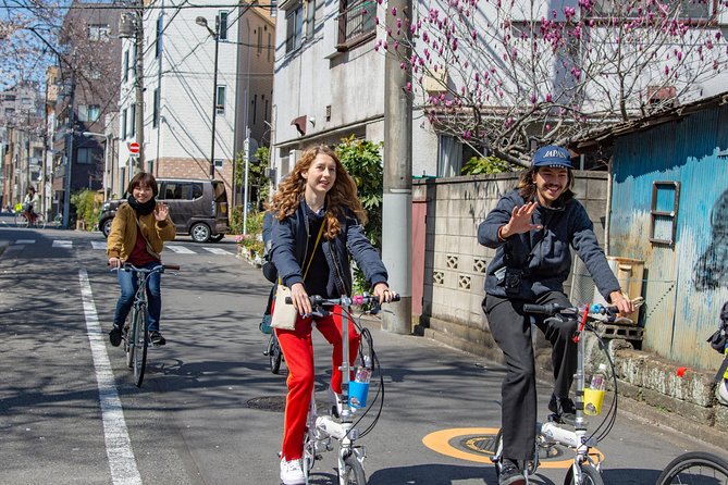 2.5 Hour-Guided Cycle Tour in the Central Tokyo - Expert Local Guide