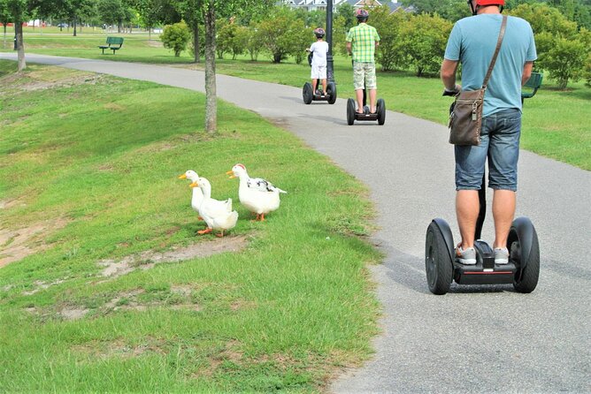 2-Hour Guided Segway Tour of Huntington Beach State Park in Myrtle Beach - Recap