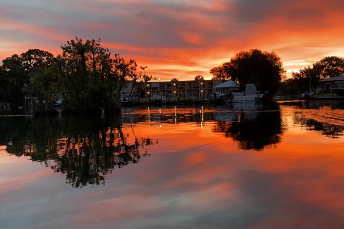 3-Hour Small Group All-Inclusive Manatee Swim With Photo Package - Additional Information