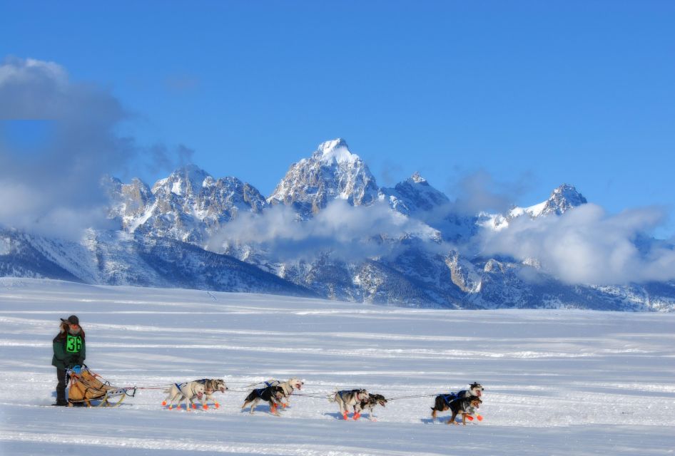 5-Day Winter Yellowstone Wildlife Tour - Directions and Tips