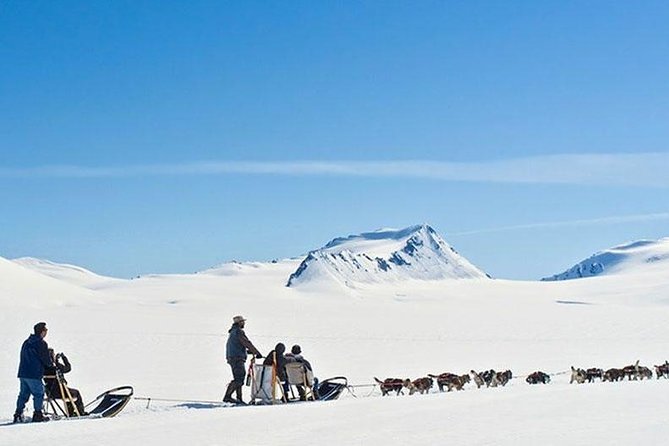 Alaska Helicopter and Glacier Dogsled Tour - ANCHORAGE AREA - Reviews