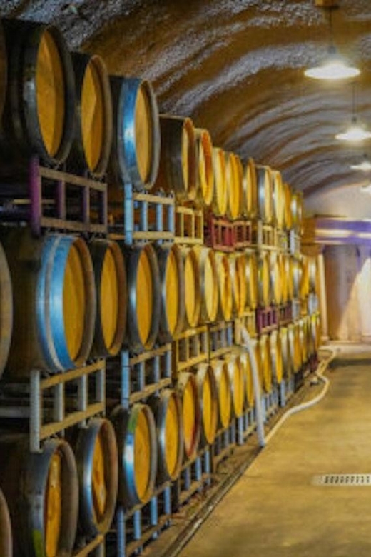 All Inclusive Sustainable Wine and Distillery Tour - Distillery Visit and Tasting