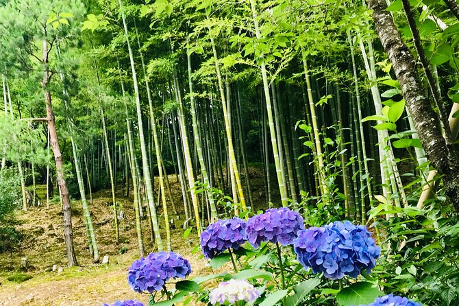 Bamboo LED Lantern Making Experience in Kyoto Arashiyama - Bamboo Forest and Workshop