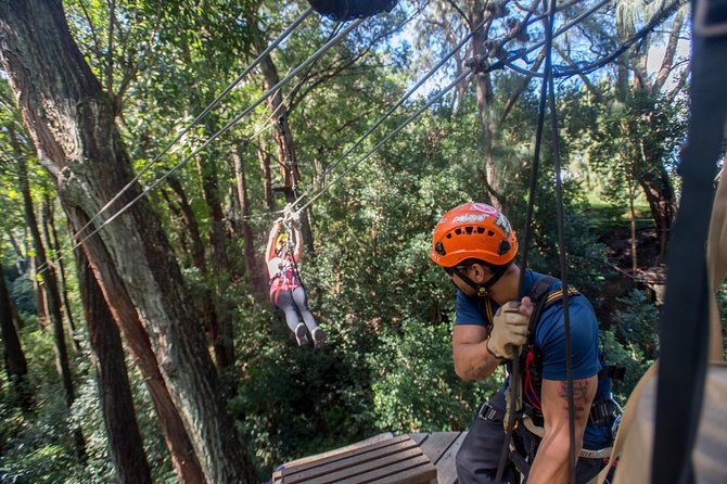 Big Island Kohala Canopy Zipline Adventure - Safety Measures and Check-in Procedures
