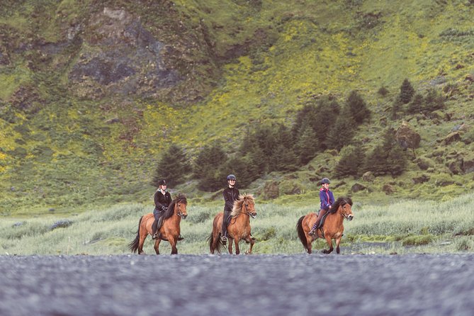 Black Sand Beach Horse Riding Tour From Vik - Cancellation Policy