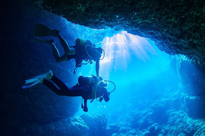 Blue Cave Experience Diving [Charter System / Boat Holding] | I Am Very Satisfied With the Beautiful Facilities of the Shop - Stunning Facilities and Satisfied Experiences