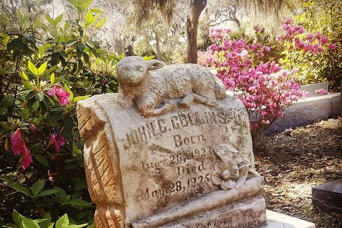 Bonaventure Cemetery Is Forever Tour - Tour Reviews and Notable Feedback