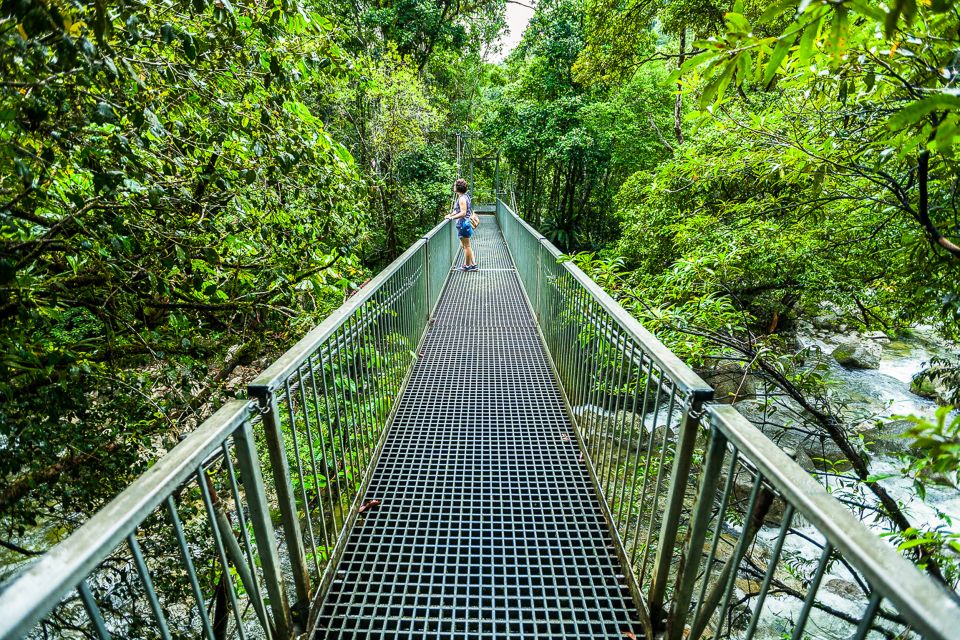 Cairns: Daintree and Mossman Gorge Tour With Cruise Option - Cancellation Policy