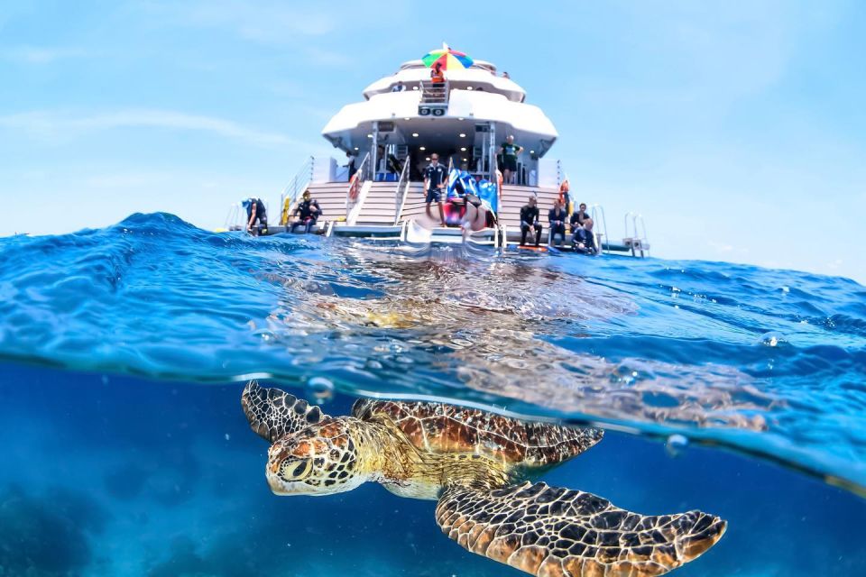 Cairns: Outer Great Barrier Reef Full-Day Tour With Lunch - Booking Information