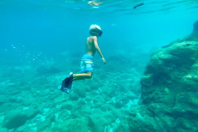 Circle Island North Shore Adventure Tour + Snorkeling - Pricing and Booking Information