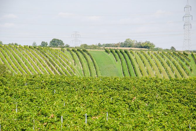 Countryside Half Day Wine Tour Near Vienna - Tour Activities and Experiences