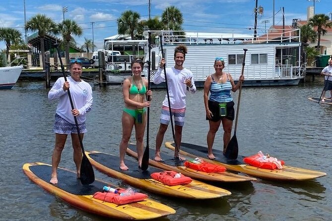 Dolphin and Manatee Stand Up Paddleboard Tour in Daytona Beach - Suggestions for Improvement