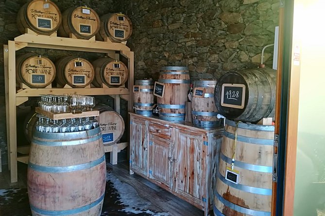 Douro Valley: Food and Wine Small Group Tour From Porto - Accessibility and Inclusions