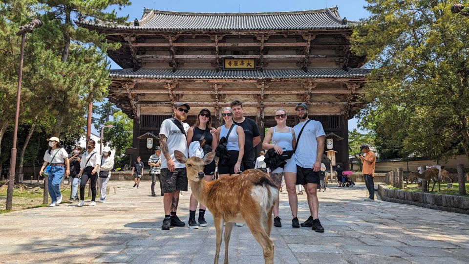 E-Bike Nara Highlights - Todaiji, Knives, Deer, Shrine - Dress Code and Requirements