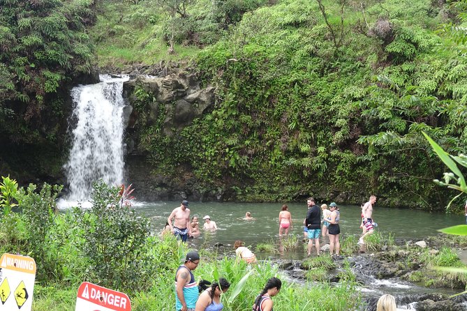 Famous Road to Hana Waterfalls and Lunch by Mercedes Van - Customer Reviews and Testimonials