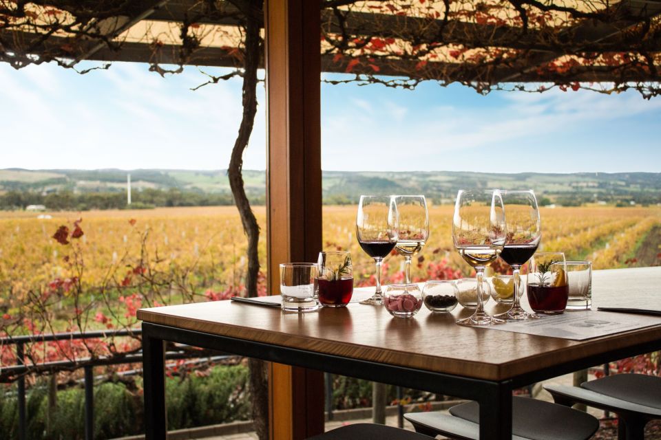 From Adelaide: Boutique Mclaren Vale Wine Tour With Lunch - Wine Tour Experience